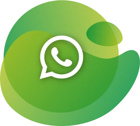 MDP whatsapp